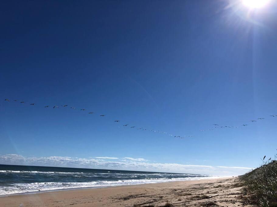 Zen Beach Retreat - Ocean View Townhouse -No Drive Beach نيو سميرنا بيتش المظهر الخارجي الصورة