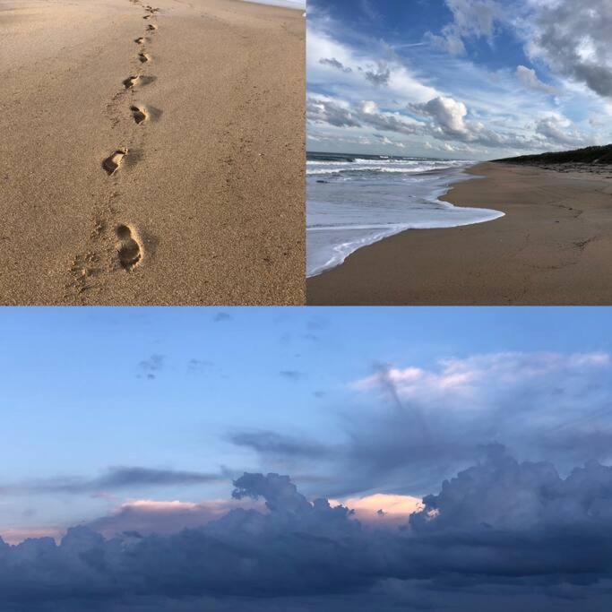 Zen Beach Retreat - Ocean View Townhouse -No Drive Beach نيو سميرنا بيتش المظهر الخارجي الصورة